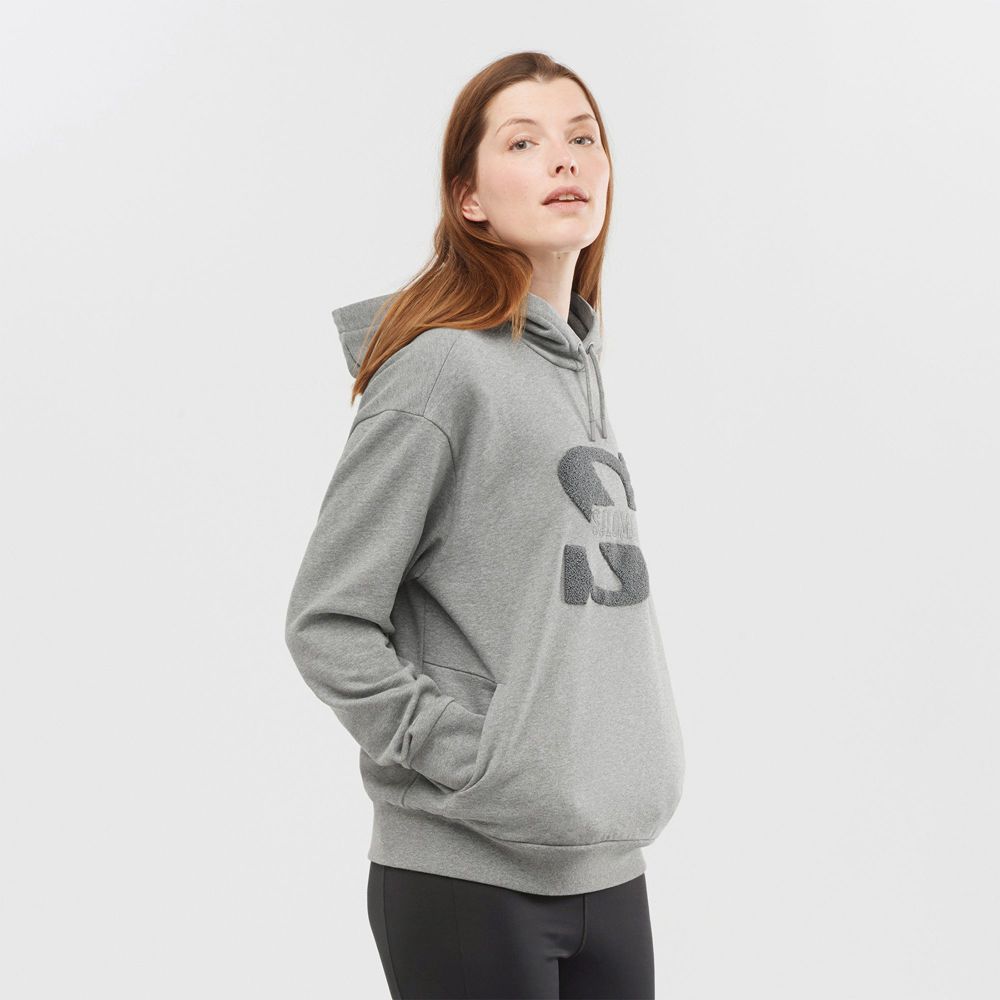 Salomon Singapore Womens Pullover - OUTLIFE LOGO SUMMER Mid Grey | 76301-TQMH